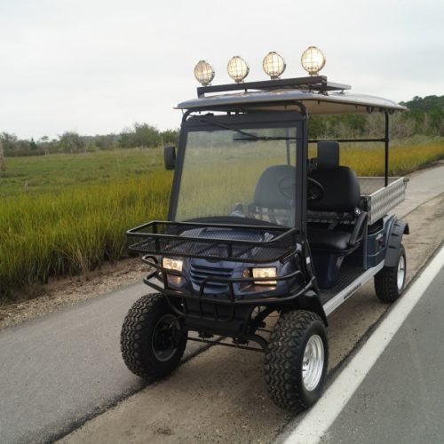 MotoEV Electro Neighborhood Buddy 2 Passenger Utility Deluxe Highriser Street Legal Golf Cart